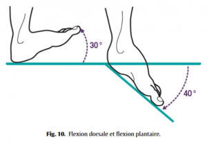 Fig 10 Proformed - formations medicales