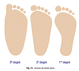 Fig 15 Proformed - formations medicales