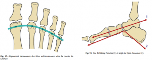 Fig 17 Proformed - formations medicales