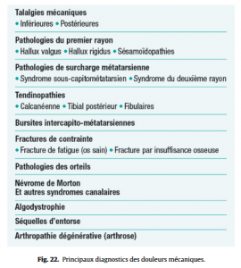 Fig 22 Proformed - formations medicales