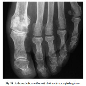 Fig 24 Proformed - formations medicales