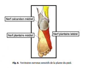 Fig 6 Proformed - formations medicales