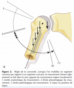 proformed formation médicale