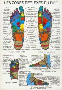 proformed Reflexologie plantaire