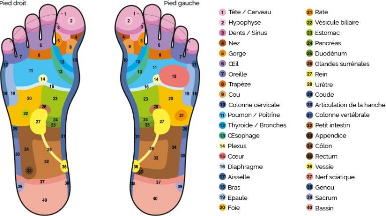 formation reflexologie aix en provence - école de réflexologie reconnue